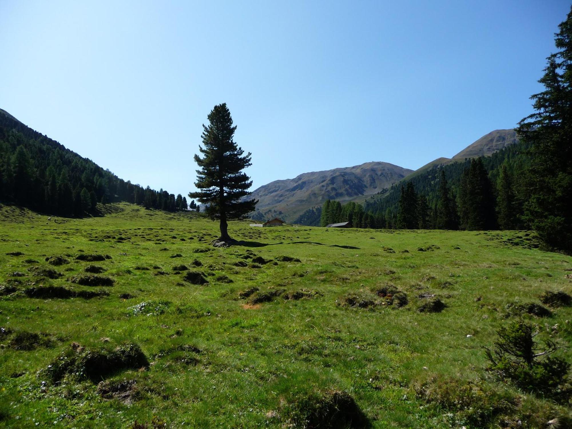 Apart Piz Mondin Pfunds Exterior foto